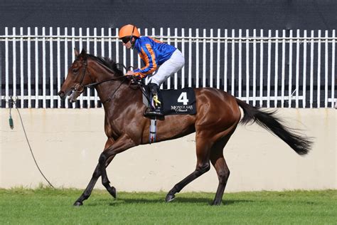 aidanobrienfansite|Hermosa bids for Nassau Glory .